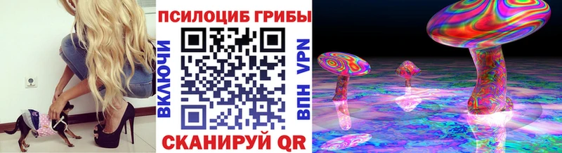 Псилоцибиновые грибы прущие грибы  ссылка на мегу ТОР  Коломна  как найти наркотики 